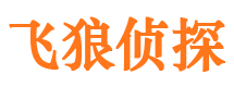 浏阳市调查公司